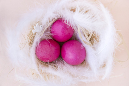 3 pink eggs in the nest with white feathers,  Easter, dove,