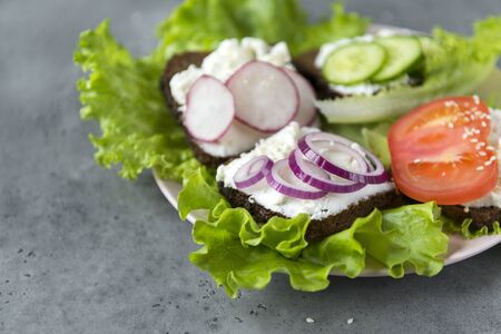 sandwiches with soft cheese, tomato, onion, radish, cucumbers on green salad leaves on a black backgroundの写真素材