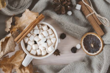 1 mug of hot coffee with marshmallows and cinnamon, a slice of dried orange, dry leaves, on the background of knitted fabric, autumn drinkの写真素材