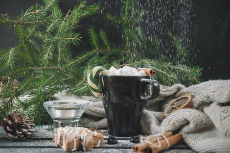 mug of hot chocolate with marshmallow, Lollipop and cinnamon, cookies, powdered sugar, on the background of fir branches, gray knitted sweater, Christmas spirit, hot winter drinkの写真素材