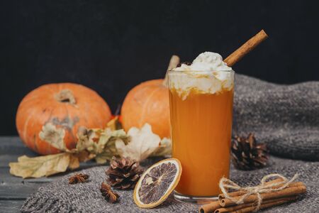 1 Cup pumpkin juice with whipped cream and cinnamon, fresh whole pumpkins, a slice of dried orange, cones, dry fallen leaves, vegetable juiceの写真素材