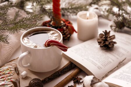 1 Cup hot black coffee with marshmallow and Lollipop, fir branches, candle, cookies, open book, cone,の写真素材