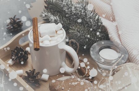 1 Cup cocoa, hot chocolate with marshmallows and cinnamon, spruce branch, cookies, snow, snowflakes,...