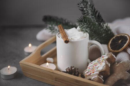 1 Cup hot chocolate cocoa with cinnamon and marshmallows, spruce branch, cookies on a tray, candles,...