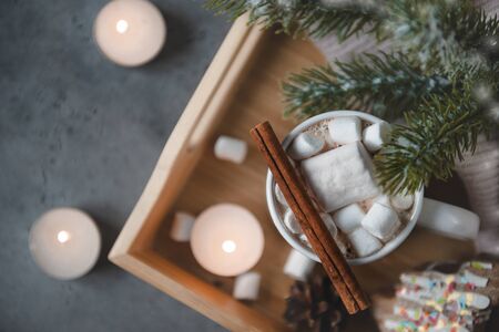 1 Cup cocoa, hot chocolate with cinnamon and marshmallows, cookies, spruce branch, candles on a gray background, top viewの写真素材