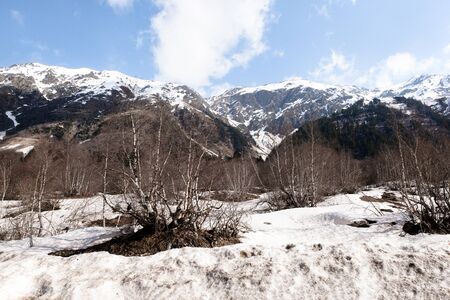 Caucasus mountains covered with dirty snow, trees, spring, Sunny day