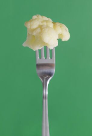 cauliflower on a fork on a green backgroundの写真素材