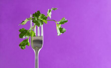 sprig of fresh green parsley on a fork on a purple background, greensの写真素材