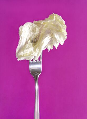 1 light lettuce leaf on a fork on a  violet backgroundの写真素材