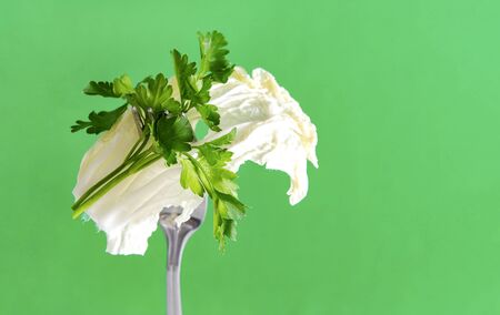 sprig of fresh  lettuce  , green  parsley on a fork on a green background close upの写真素材