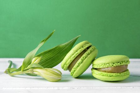 2 green macaroon cookies with a flower Bud on a white and green background