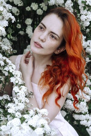portrait 1 white young romantic  woman with red hair , freckles, and pink dress among white flowersの写真素材