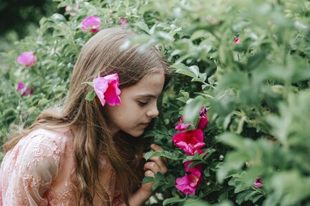10 year old girl with long hair in a pink dress in a garden with a blooming rosehip, teenagerの写真素材
