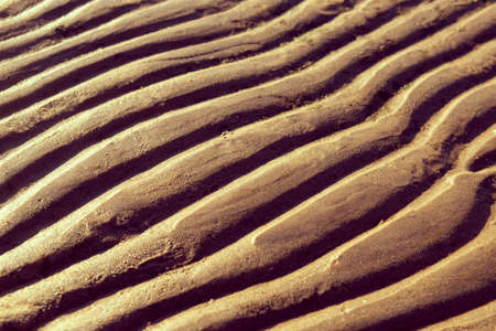 wet sand with waves from the water, beach,の写真素材