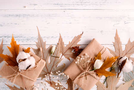 fallen maple leaves, gift box, sprig of white flowers and cotton on a white wooden, copy spaceの写真素材