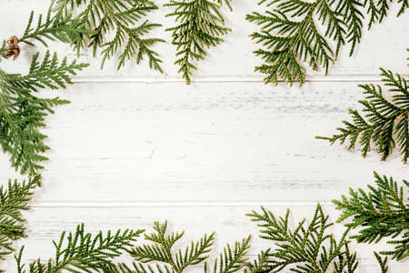 green branches of thuja, spruce branches on a white wooden background, place for the inscription, coniferous branchesの写真素材