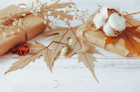 fallen yellow maple leaves, gift box, sprig of white flowers and cotton on a white wooden backgroundの写真素材