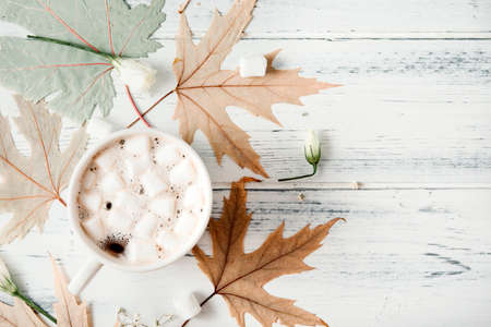 Cup of hot chocolate with marshmallows, maple dry leaves on a white wooden background, copy spaceの写真素材
