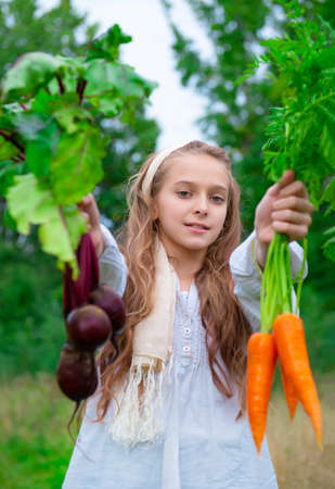 1 European girl 11 years old holding fresh carrots and beets and laughing against the background of greeneryの写真素材
