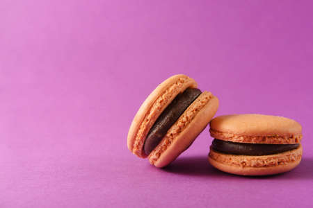 2 brown macaroons on a purple backgroundの写真素材