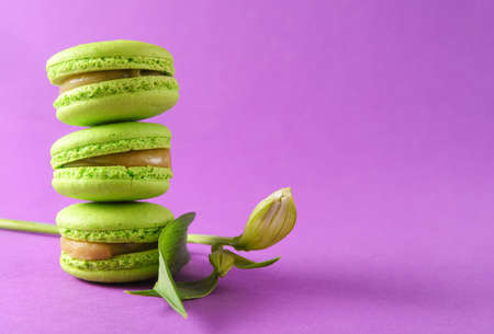 3 cookie, green macaroons, a flower on a purple, sweetsの写真素材