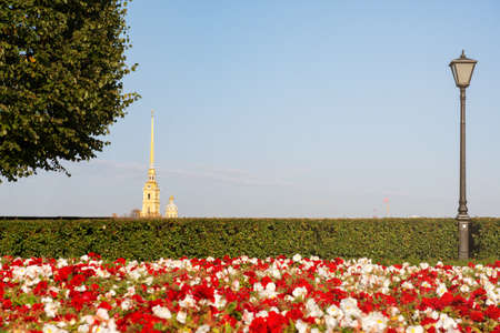 park against the background of the Peter and Paul Fortress in Petersburg, Septemberの写真素材