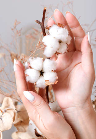 Woman's hands touching white cotton on white and light brown background vertical close upの写真素材