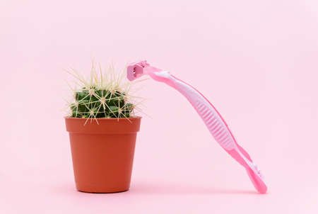 Green cactus in brown pot with pink shaver on pink background copy space vertical