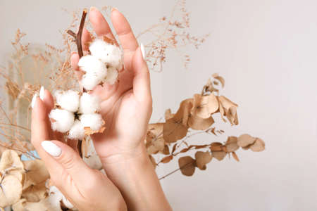Woman's hand touches cotton light, minimalistic beige, copy spaceの写真素材