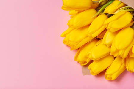 Yellow tulips on pink background angled spring floral minimal bouquet horizontalの写真素材