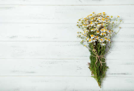 Camomile flowers on white wooden background tied big floral spring new home cozy domesticの写真素材