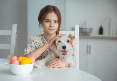 Young girl with long brown hair sitting in white kitchen with bowl of easter eggs pets Jack Russel terrier dog domestic spring warm cozy cute childhood festive homeの写真素材