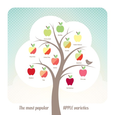 Apple varieties with treeのイラスト素材