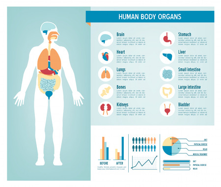 Human body health care infographics, with medical icons, organs, charts, diagrams and copy spaceのイラスト素材