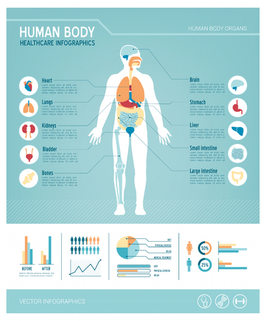 Human body health care infographics, with medical icons, organs, charts, diagarms and copy spaceのイラスト素材