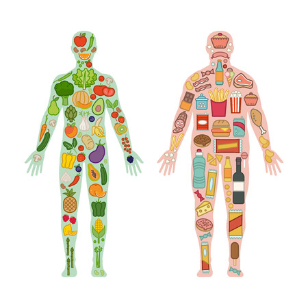 Fresh vegetables and fruit in an healthy fit body and junk unhealthy food in a fat obese body, healthy and unhealthy diet comparisonのイラスト素材