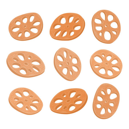 Candied lotus roots slices in different positions, isolated, traditional Asian food conceptのイラスト素材