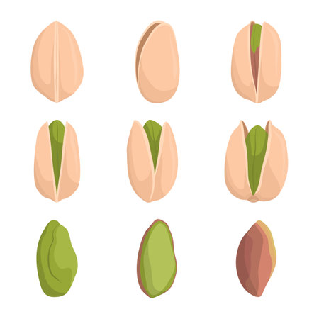 Collection of pistachio nuts isolated on white background, healthy food conceptのイラスト素材