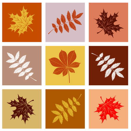Picture of Various Leaves in the colored squaresのイラスト素材