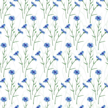Seamless background of wildflowers. Cornflower. Pattern with flowersのイラスト素材