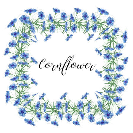 The wreath of cornflowers flowers on a white background. Decor element. Sweetheart card.のイラスト素材