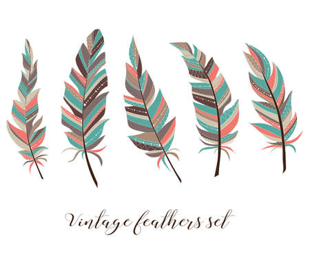Vintage feathers set. Five elegant feathers of boho style on a white background.のイラスト素材