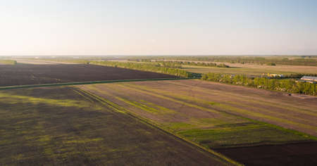 Plowed agricultural fields from bird's eye view. Countryside landscape