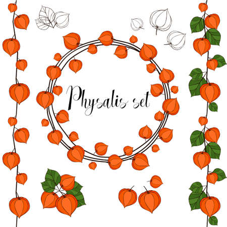 Set of flower physalis. Wreath, seamless brush.のイラスト素材
