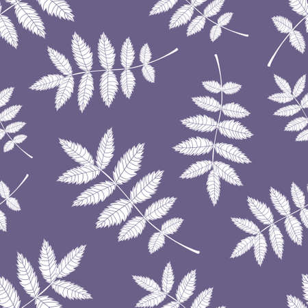 Seamless background from the leaves of mountain ash. Pattern.のイラスト素材