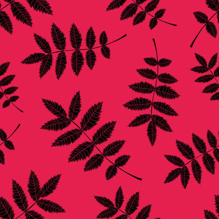 Seamless background from the leaves of mountain ash. Pattern.のイラスト素材