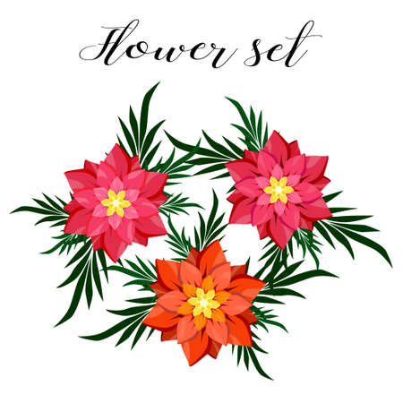 Set of flowers on a white backgroundのイラスト素材