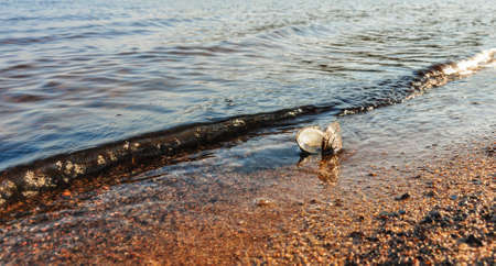 Shell on sandy shore on background of water wavesの写真素材