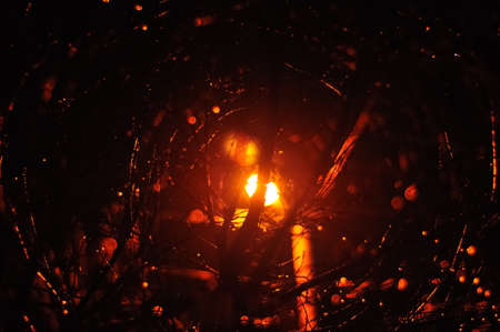 Lamp post light rays shining trough the wet branches.の写真素材