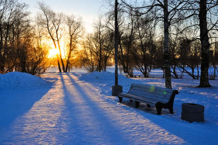 Bench in the winter park in morning dawn sun rays. Silhouettes and shadows of trees